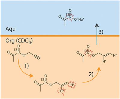 In-vitro NMR Studies of Prostate Tumor Cell Metabolism by Means of Hyperpolarized [1-13C]Pyruvate Obtained Using the PHIP-SAH Method